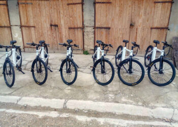 Električni bicikli za gerontodomaćice