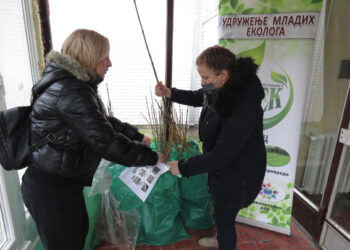 Oko 600 stabala belog jasena biće zasađeno u Šapcu