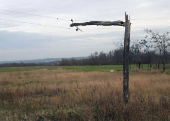 Velika opasnost nadvila se nad Krnule