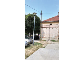 Seku drveće a sade bandere!