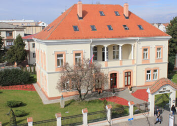 Rad sa mladima u Biblioteci šabačkoj