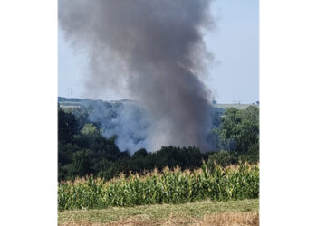 Gori deponija u Vladimircima