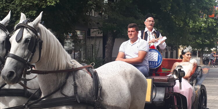 „Čivijada“ u izmenjenom obliku, novi predsednik Čivijaške republike Andrija Milošević