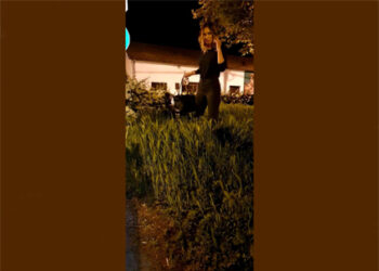 Dajemo pomen našem Šapcu