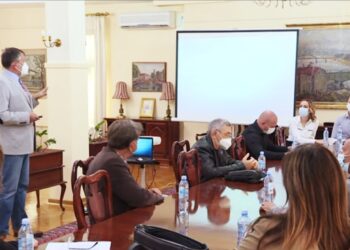 Grad prošle godine isplatio četiri miliona dinara za kazne zbog ujeda pasa lutalica