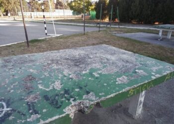 Veliki park očima jednog našeg sugrađanina