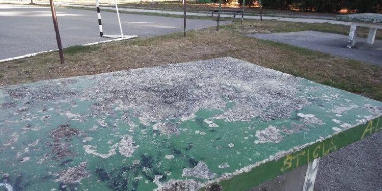 Veliki park očima jednog našeg sugrađanina