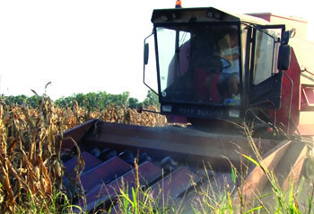 Prinos kukuruza manji i do 60 procenata