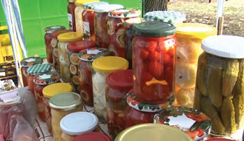 Kraljevstvo šarenih teglica u Koceljevi