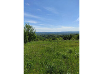 Žalba Sekretarijatu Bernske Konvencije protiv Rio Tinta