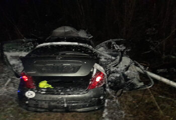 Žena nastradala u saobraćajnoj nesreći