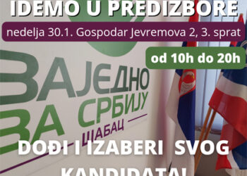 Idemo u predizbore