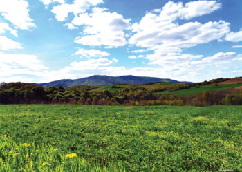 Prvi maj na planini Cer