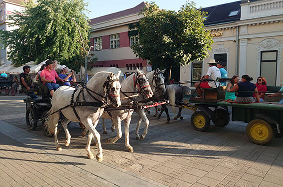Defileom kroz grad počele jedanaeste Šabačke konjičke svečanosti