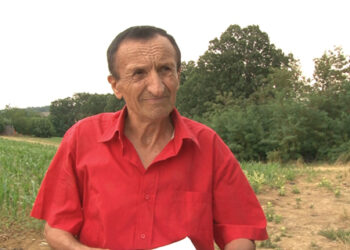 Milorad Kosanić dobio kaznu zbog ulaska u svoj posed