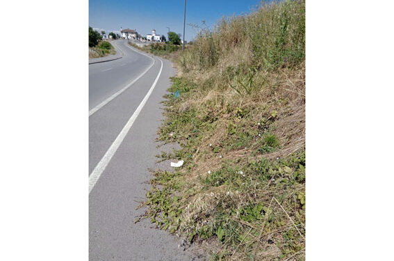 Koze će spasiti šabačku vlast