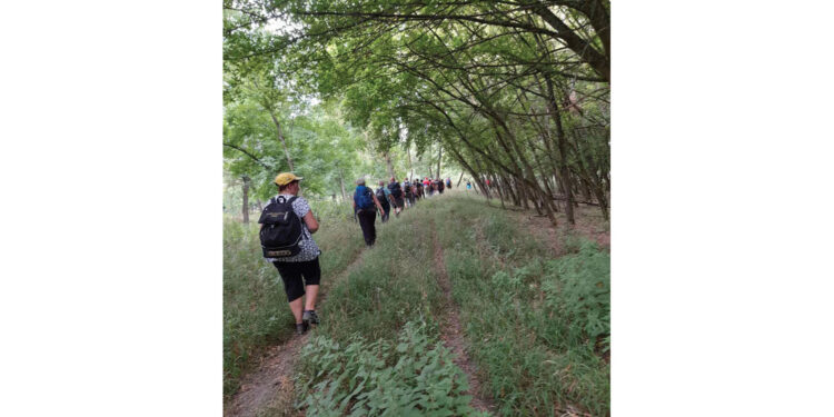 Šetnjom kroz Gornje Podunavlje