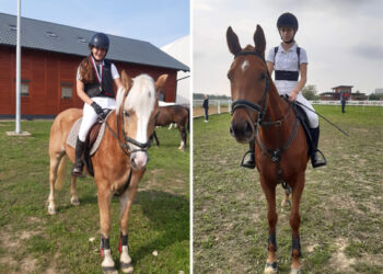 Bez plasmana za Trofej Beograda