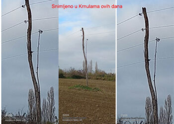 Prilozi za analizu elektroenergetskog sektora u Srbiji