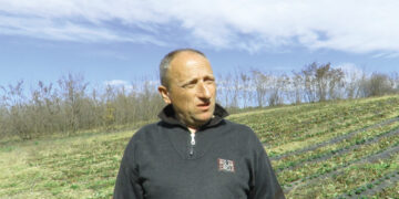 Nada da će biti bolje