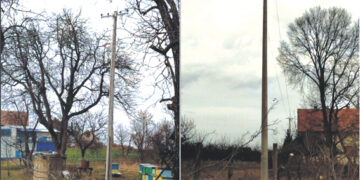 Odgovor Ogranka Elektrodistribucije Šabac