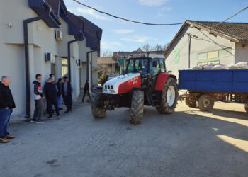 Podeljen merkantilni kukuruz