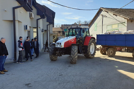 Podeljen merkantilni kukuruz