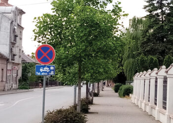 Drvoredi  za prijatnu šetnju