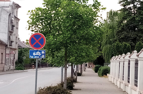 Drvoredi  za prijatnu šetnju