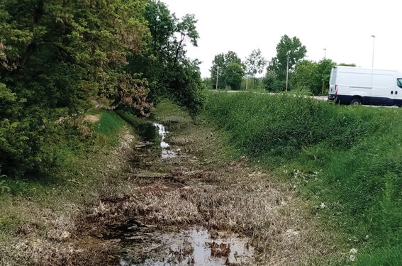 Ko to zatrpa Kamičak
