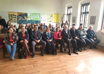 Obasjali svetli lik Vojvode Stepe