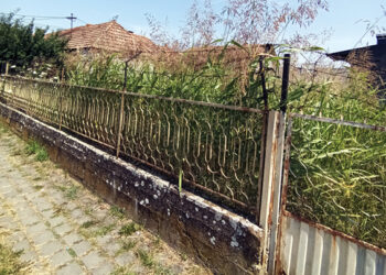 Šta učiniti u slučaju kad vlasnik neće a JKP nije nadležan da uredi dvorište!