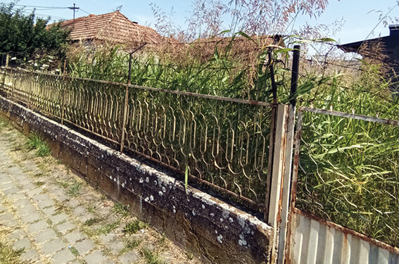 Šta učiniti u slučaju kad vlasnik neće a JKP nije nadležan da uredi dvorište!