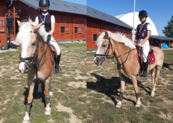 Dva zlata najmlađih takmičara KK “Taur”