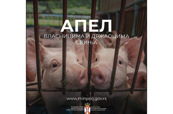 Apel Opštinske uprave Opštine Bogatić vlasnicima i držaocima svinja