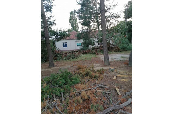 Škola u Jelenči nebezbedna za početak školske godine!?