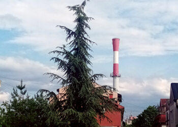 Najviša kota Šapca   
