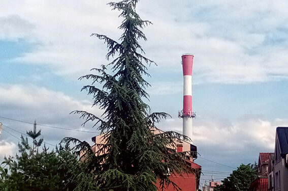 Najviša kota Šapca   