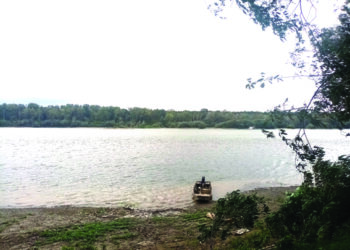 Sava kod Mrđenovca
