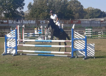 Jedno zlato za “Taur” na “Kupu Vojvodine”