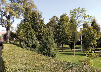 Dobro održavan park