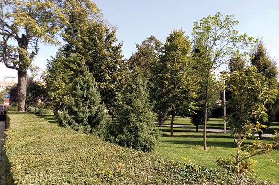 Dobro održavan park