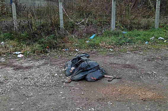 GRAĐANI REPORTERI: Nemar, nebriga i neodgovornost – put ka kolektivnoj zarazi (FOTO)