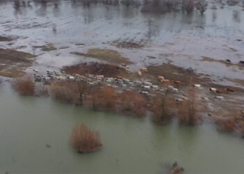 Dobro jutro Srbijo! PAKAO NIJE NA DRUGOM MESTU ON SE OVDE RODIO