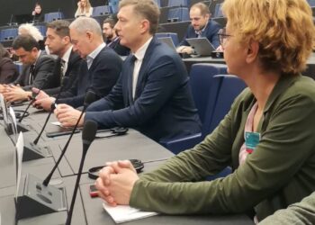 Na parlamentarnim izborima se najviše kralo