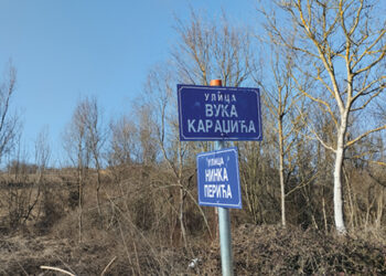 Bojić dobio obeležene ulice