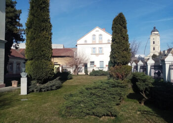 Zeleno, volim te zeleno“