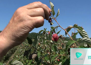 Srbija na zapadu – 10 (VIDEO)