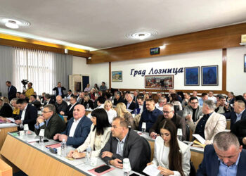  Izabrani izvršni organi vlasti