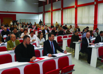 Usvojeni planovi poslovanja javnih preduzeća za ovu godinu